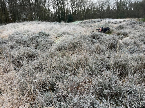 Winterjuffers fotograferen.