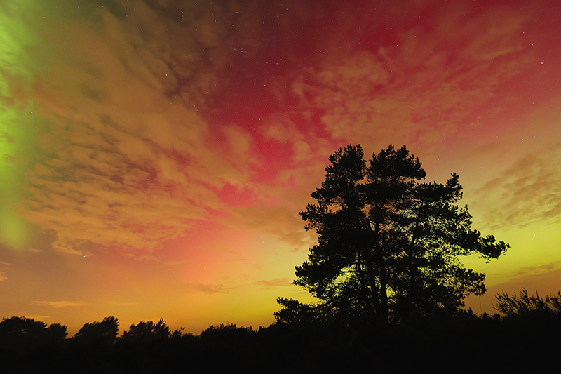 Fantastisch Noorderlicht | Aurora borealis in Nederland!