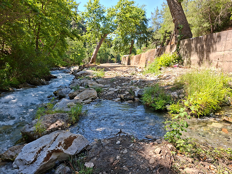 Wilde rivier met rotsen, leefgebied van de Blauwoogbronlibel.
