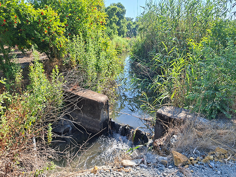 Habitat Turkse rombout | Gomphus schneiderii in Turkije.