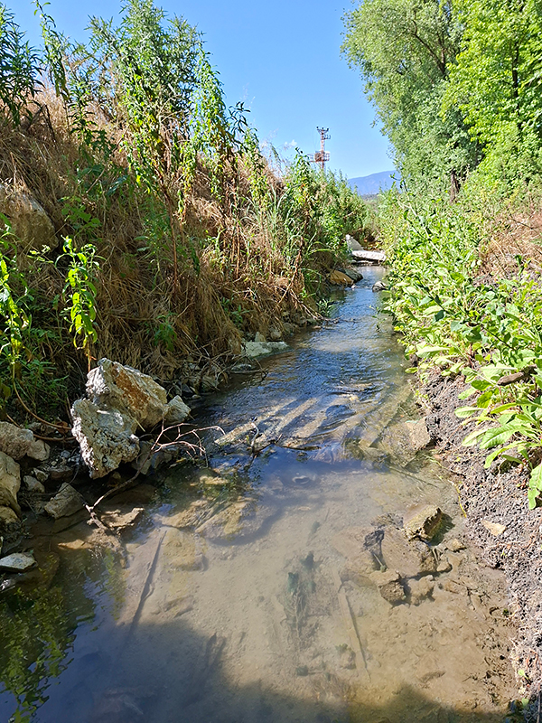 Habitat Turkse rombout | Gomphus schneiderii in Turkije.